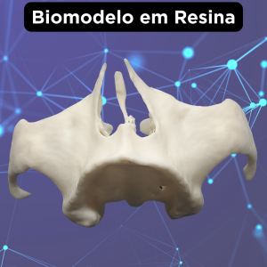 BIOMODELO