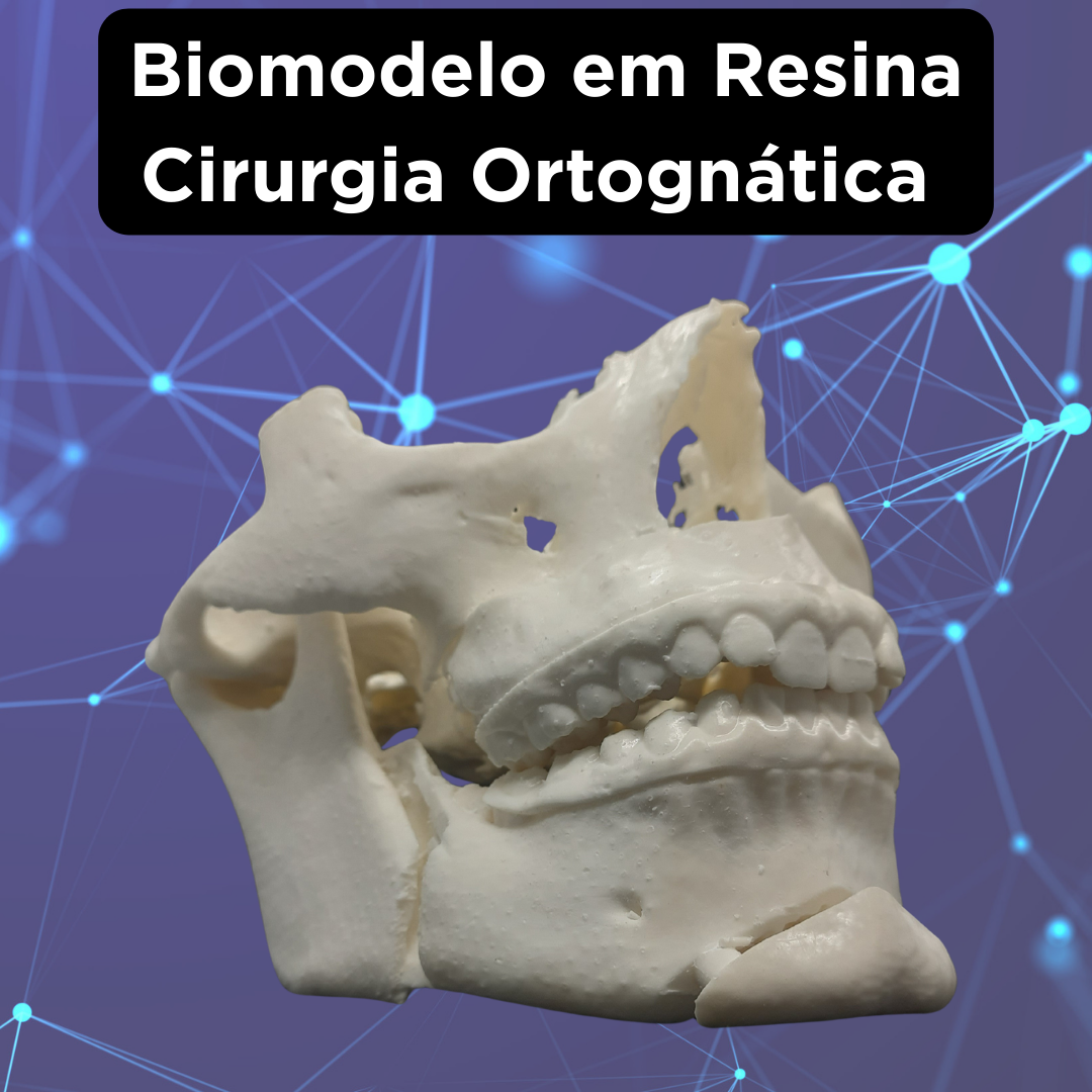BIOMODELO - Image 2