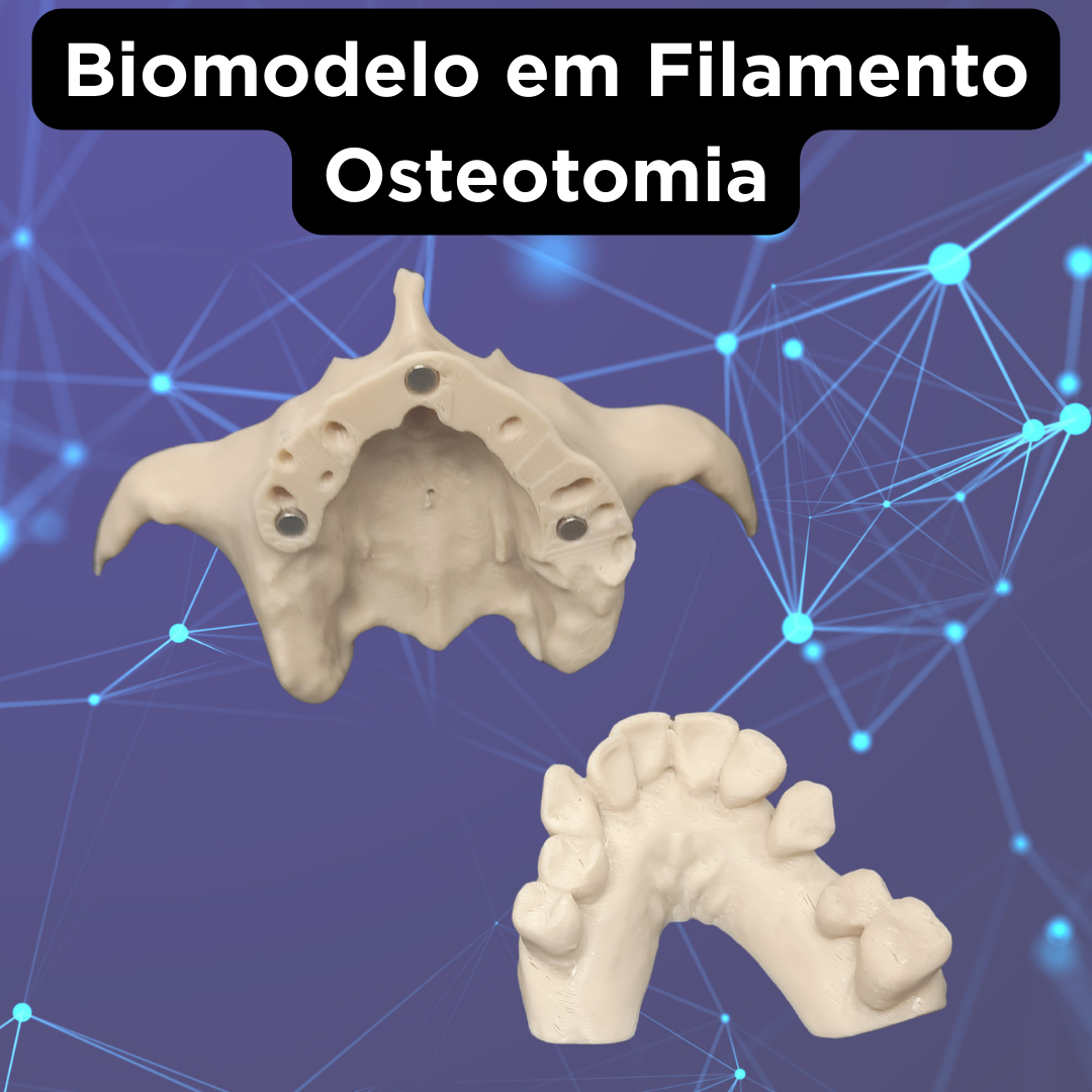 BIOMODELO - Image 3