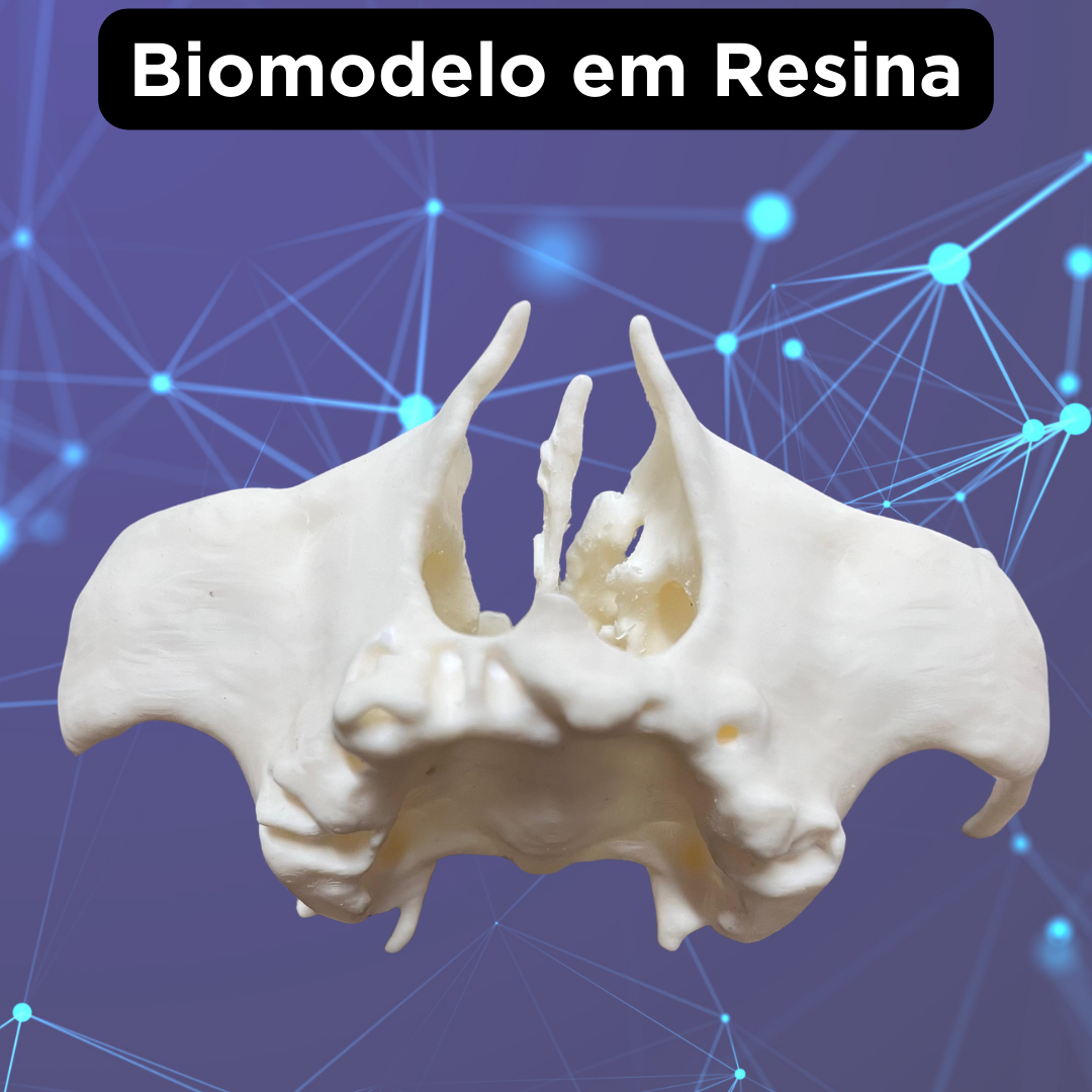 BIOMODELO - Image 6