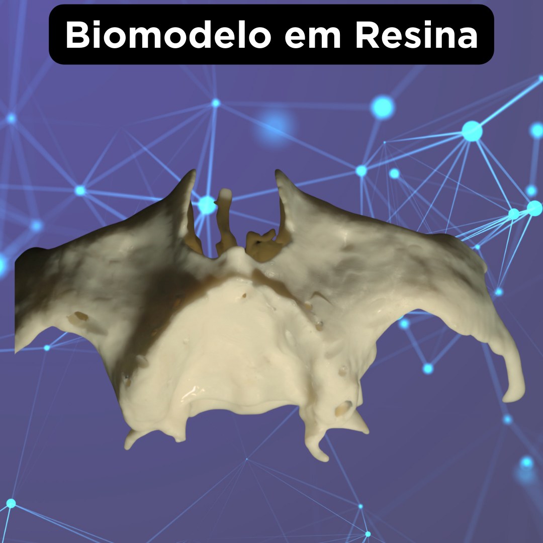 BIOMODELO - Image 7